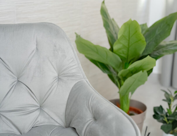 Il Castagno - B&B e Appartamenti Vasto02913