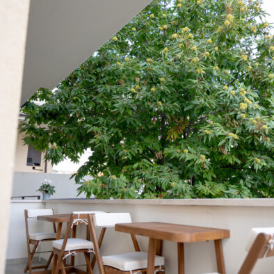 Il Castagno Vasto, B&b, Appartamenti