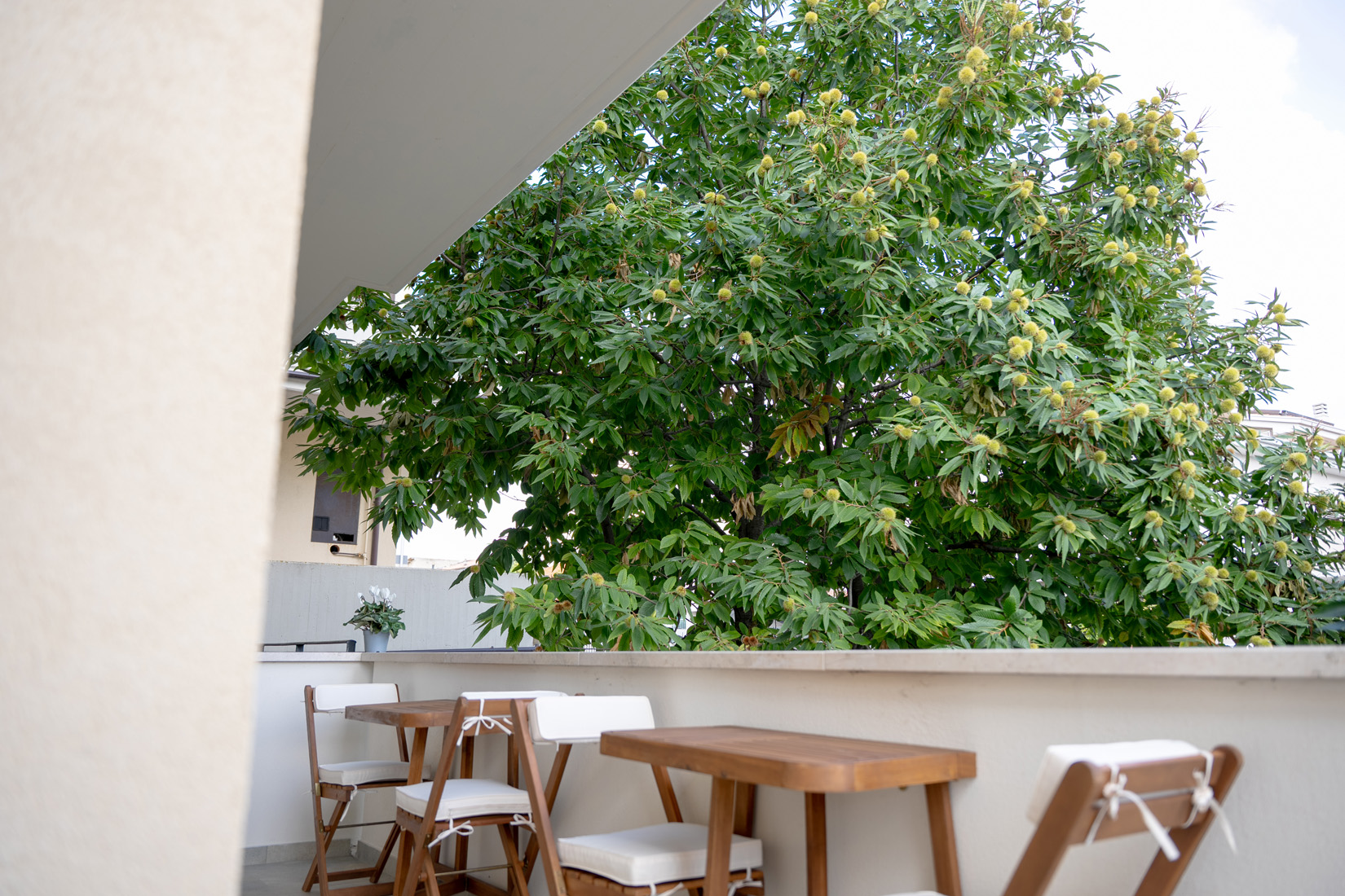 Il Castagno Vasto, B&b, Appartamenti