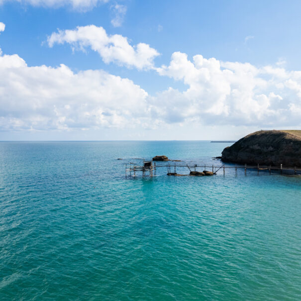 Il Castagno - B&B e Appartamenti Vasto_0011