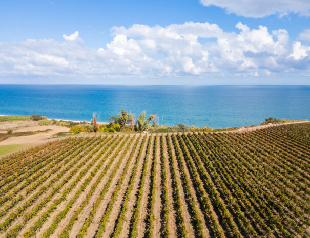 Il Castagno - B&B e Appartamenti Vasto_0028