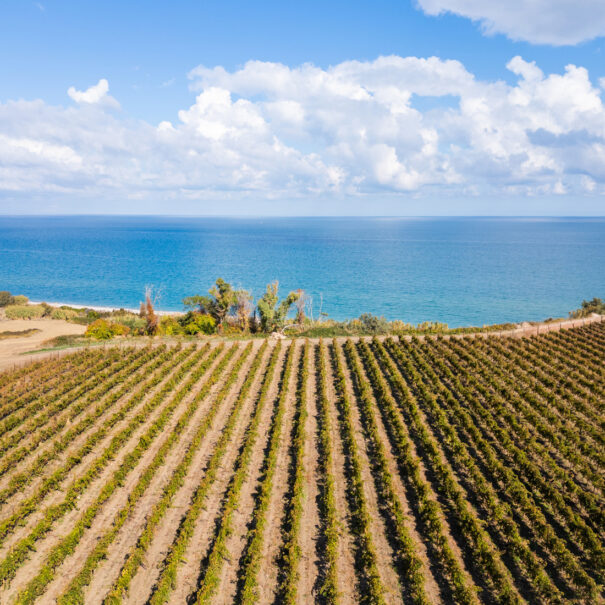 Il Castagno - B&B e Appartamenti Vasto_0028